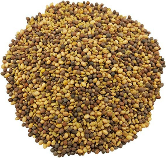 Organic Antioxidant Mix of Sprouting Seeds — Non-GMO, Vegan: 8 Ounces