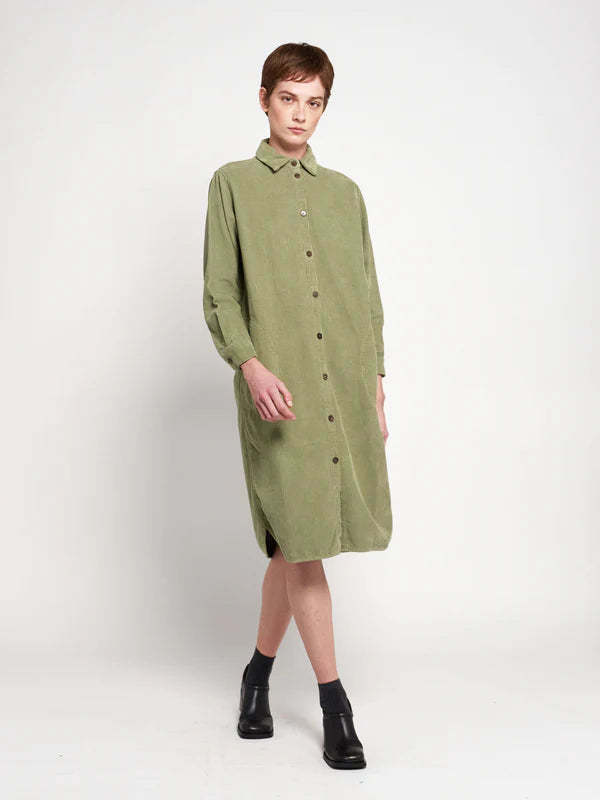 Bobo Choses corduroy shirt dress