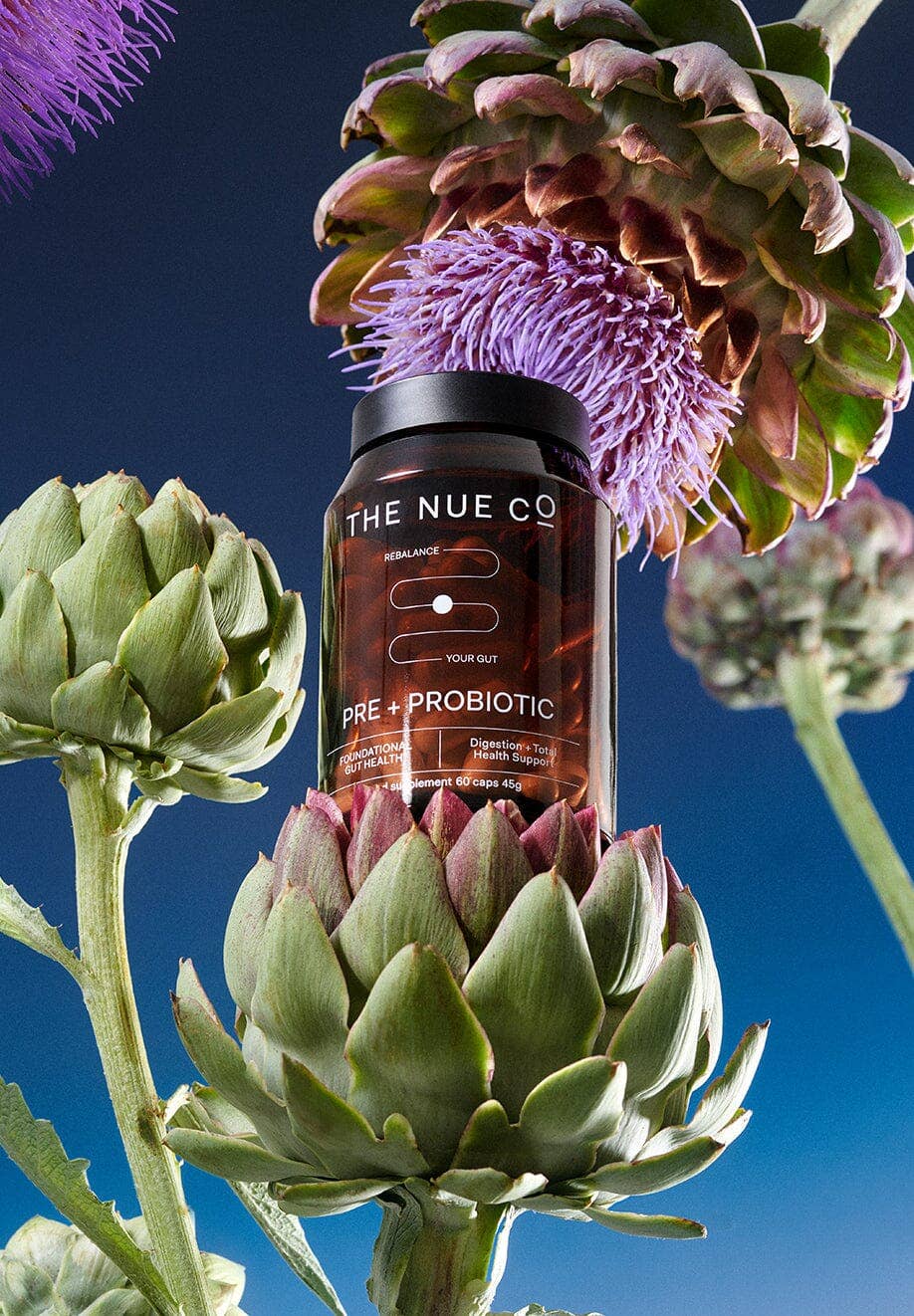 PREBIOTIC + PROBIOTIC: 60 CAPS JAR