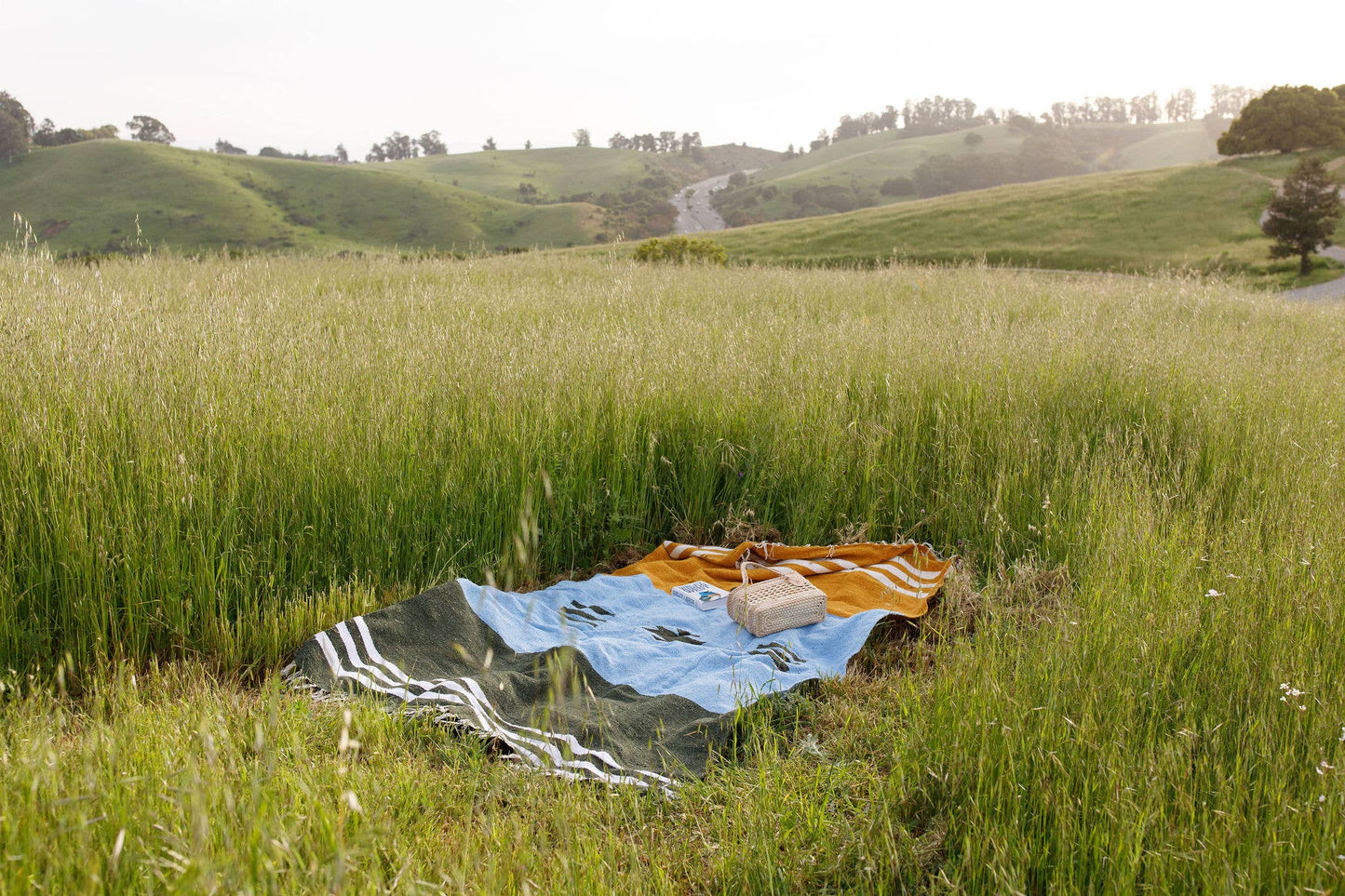 Horizonte Lago - Hand Woven Blanket