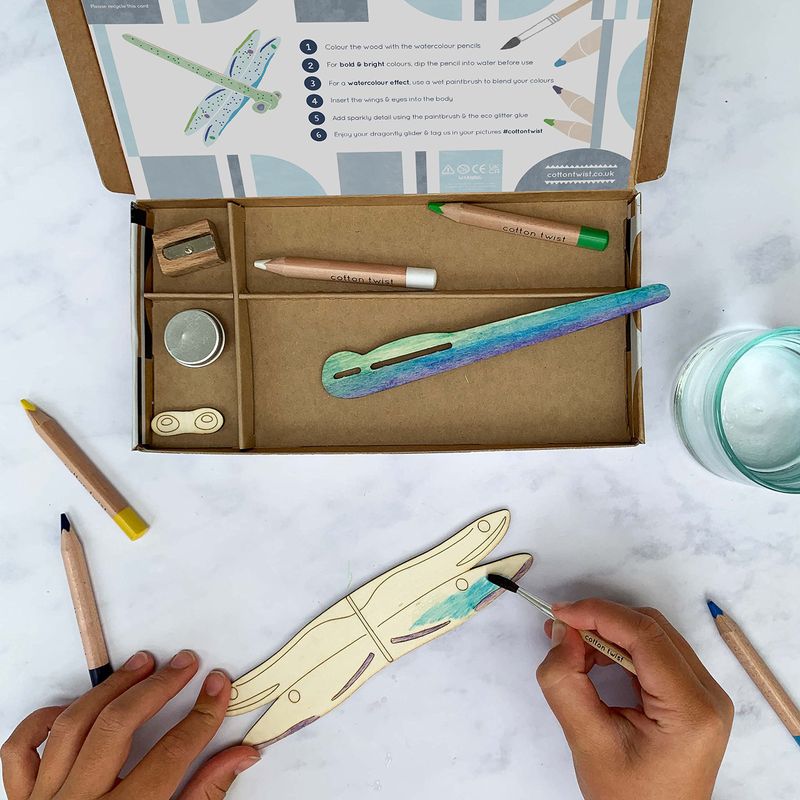 Make Your Own Dragonfly Glider Activity Kit