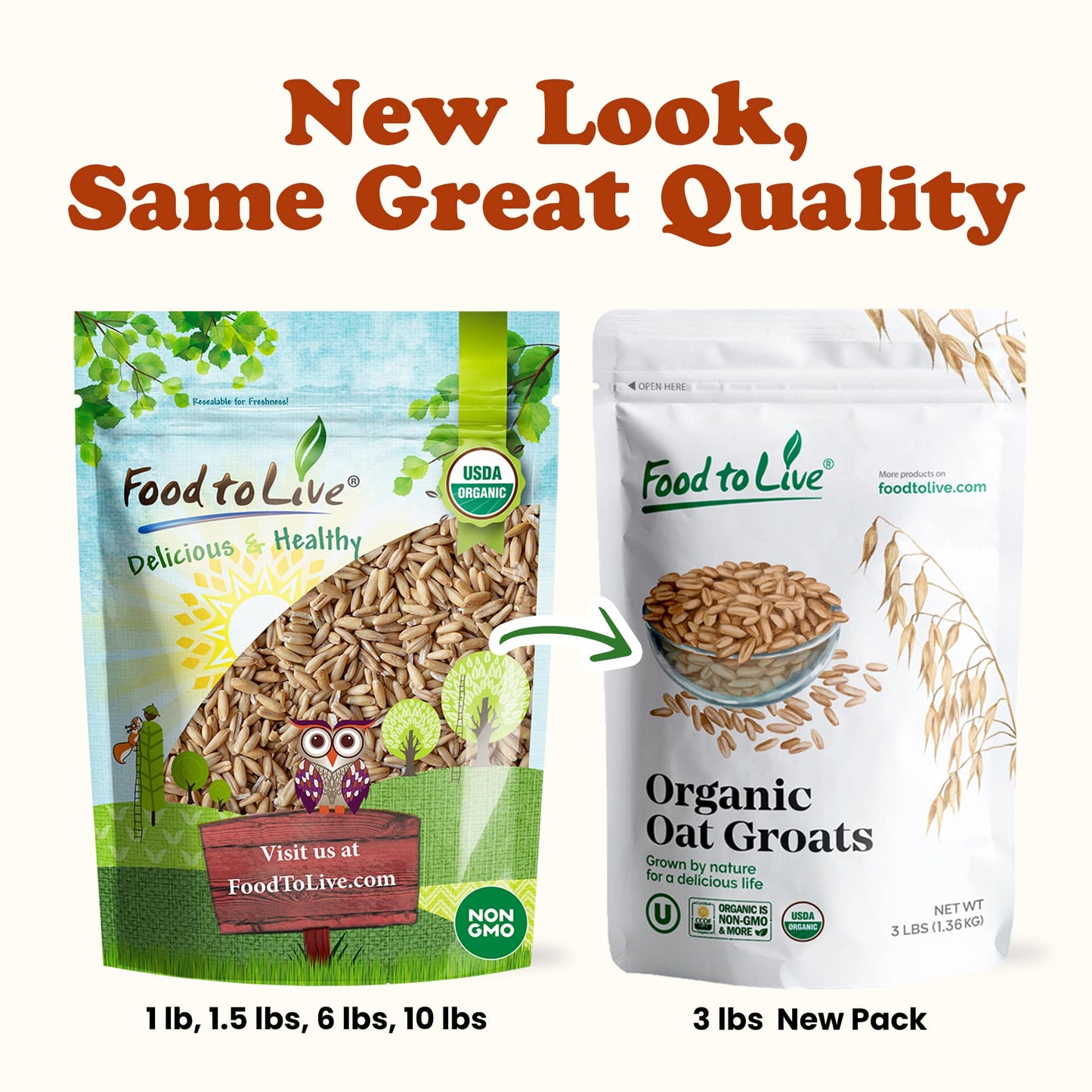 Organic Pine Nuts – Non-GMO, Whole Raw Pignolias, Unsalted: 8 Ounces