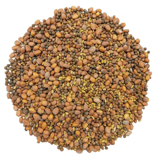 Organic Spicy Mix of Sprouting Seeds — Rich Germination Rate: 12 Ounces