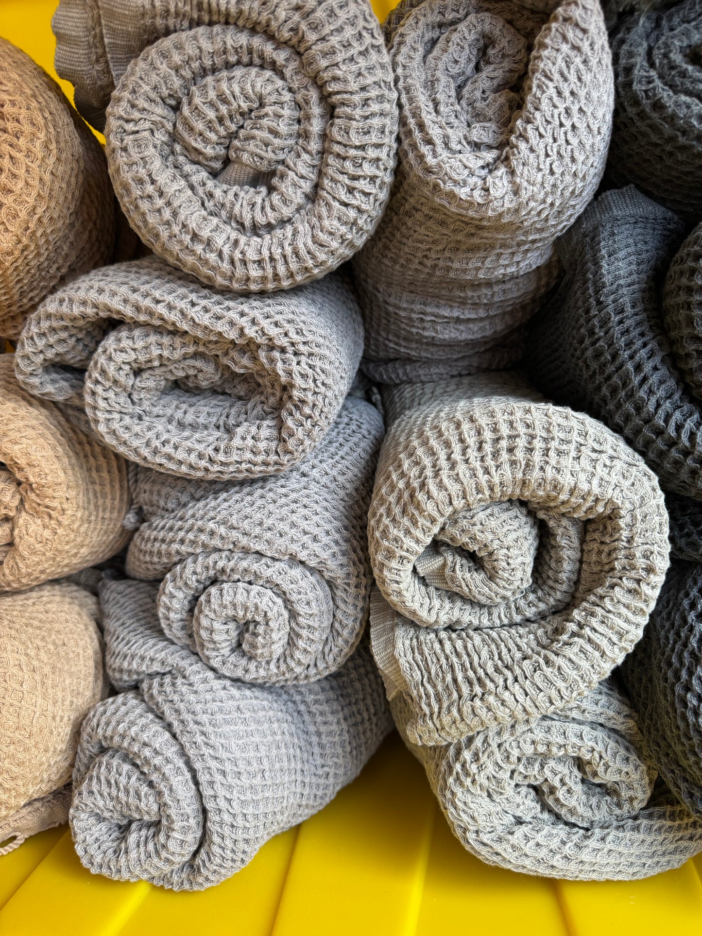 Plush Waffle Towels in Botanical Colors