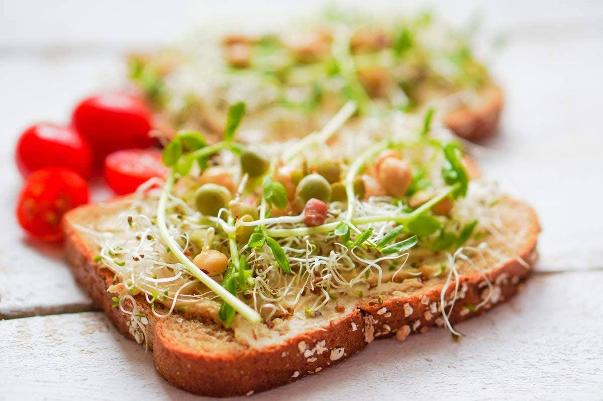 Organic Spicy Mix of Sprouting Seeds — Rich Germination Rate: 12 Ounces