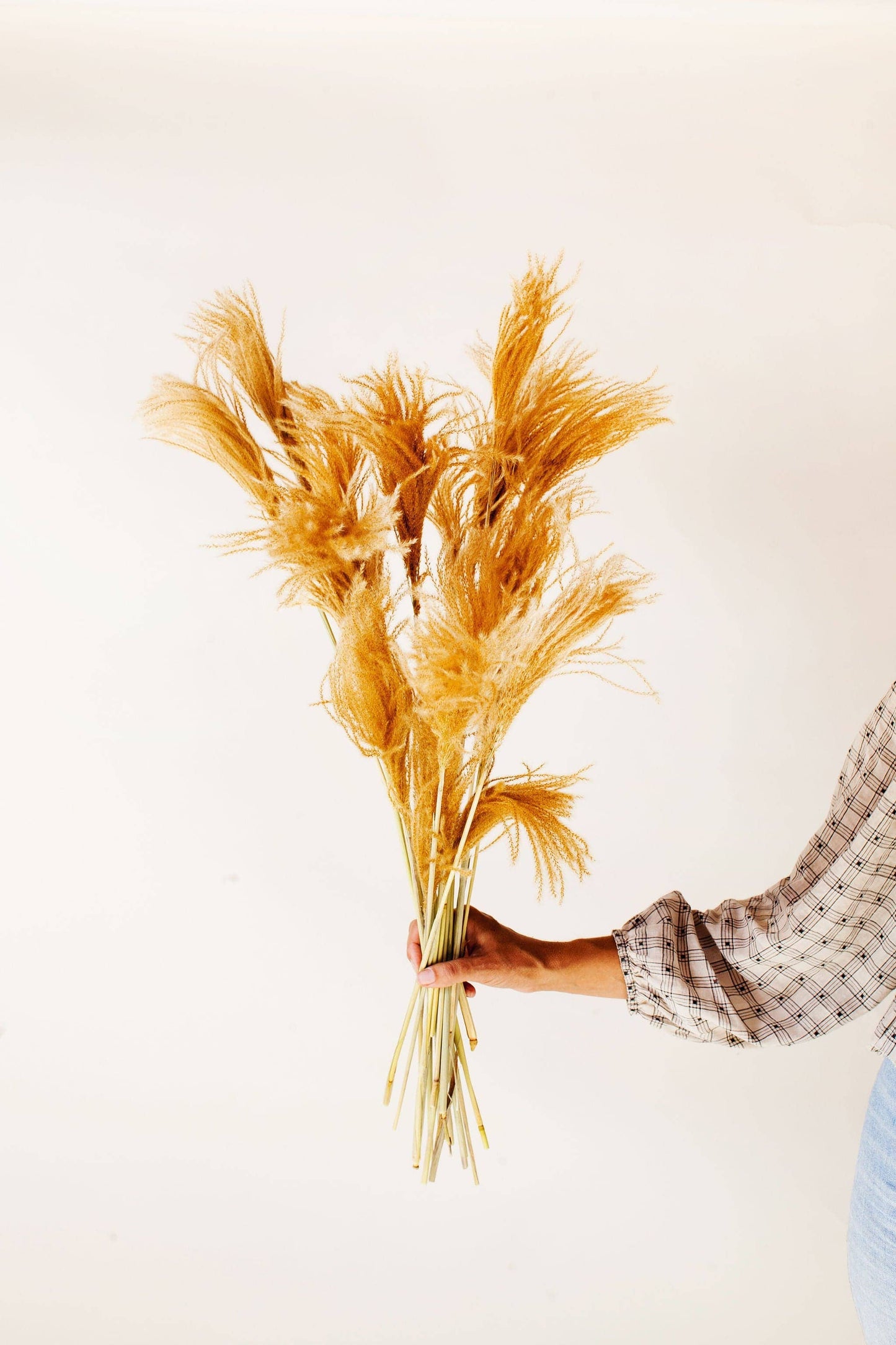 Golden Pampas Grass