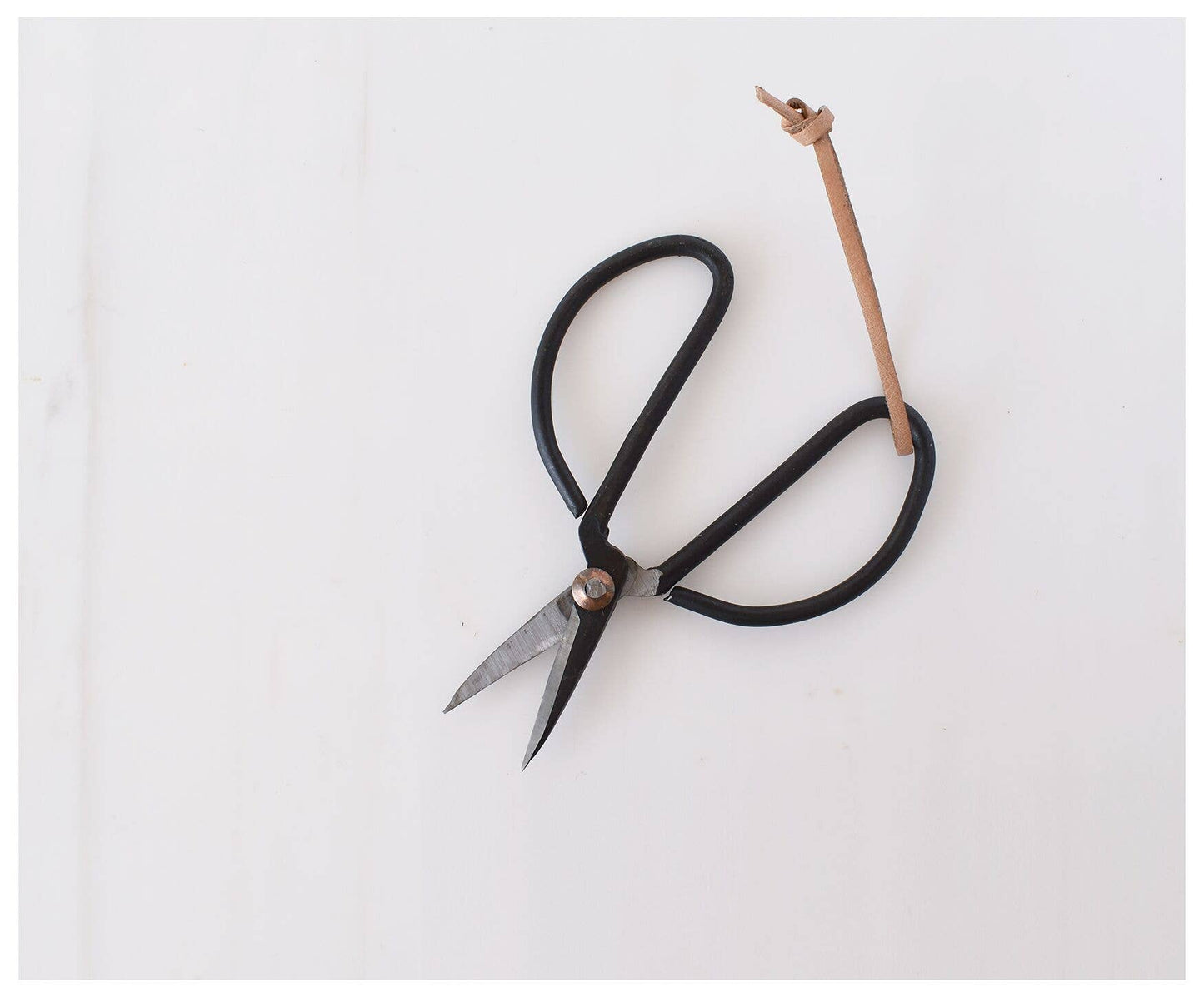 Garden Scissors