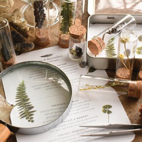 Natural Specimen Collecting Kit