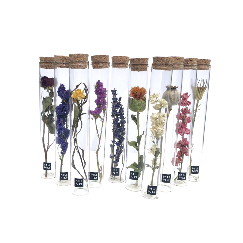 TUBE 20 CM WITH DRIED FLOWER - Gift Spring Easter