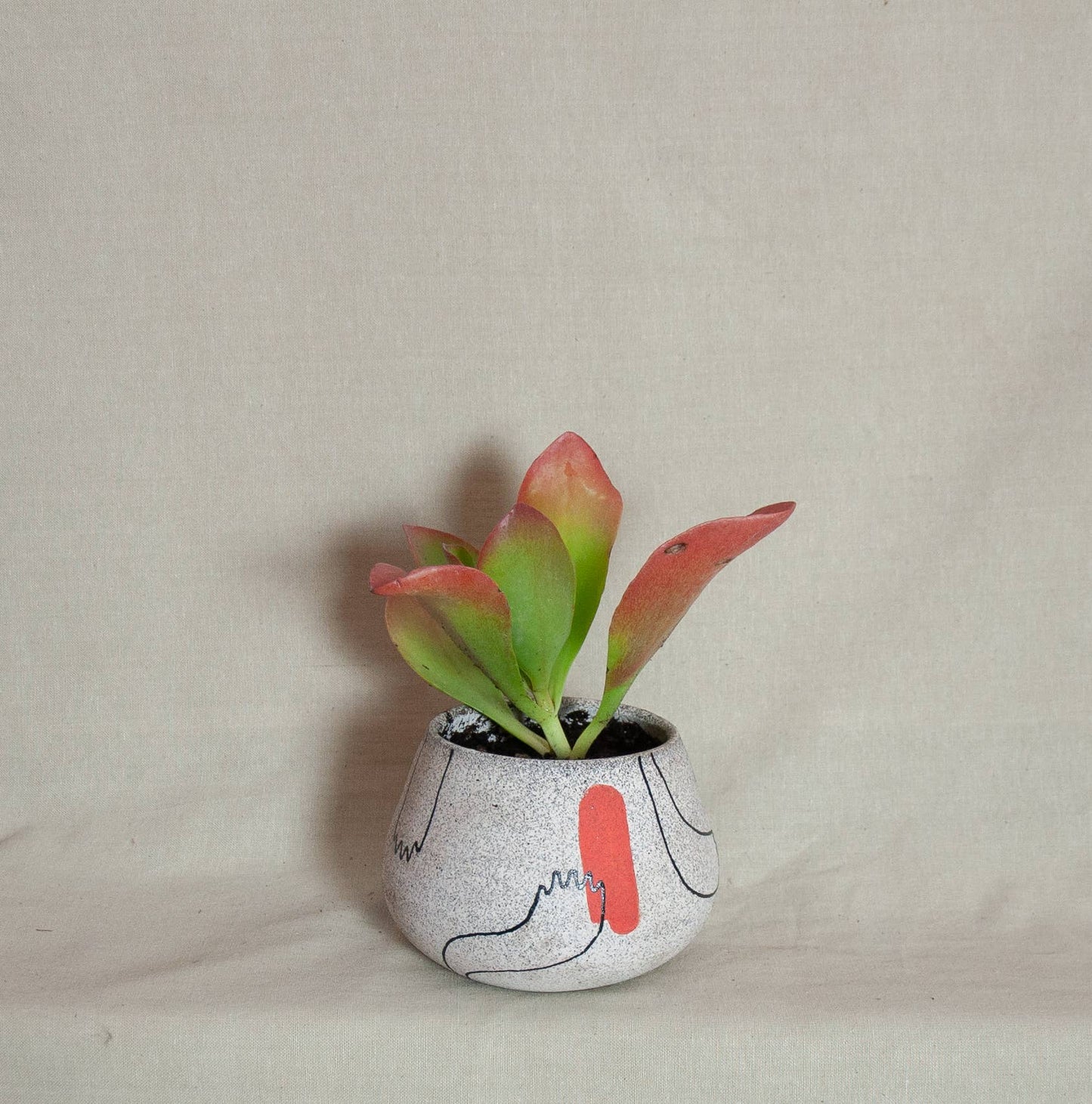 Small Bulb Planter