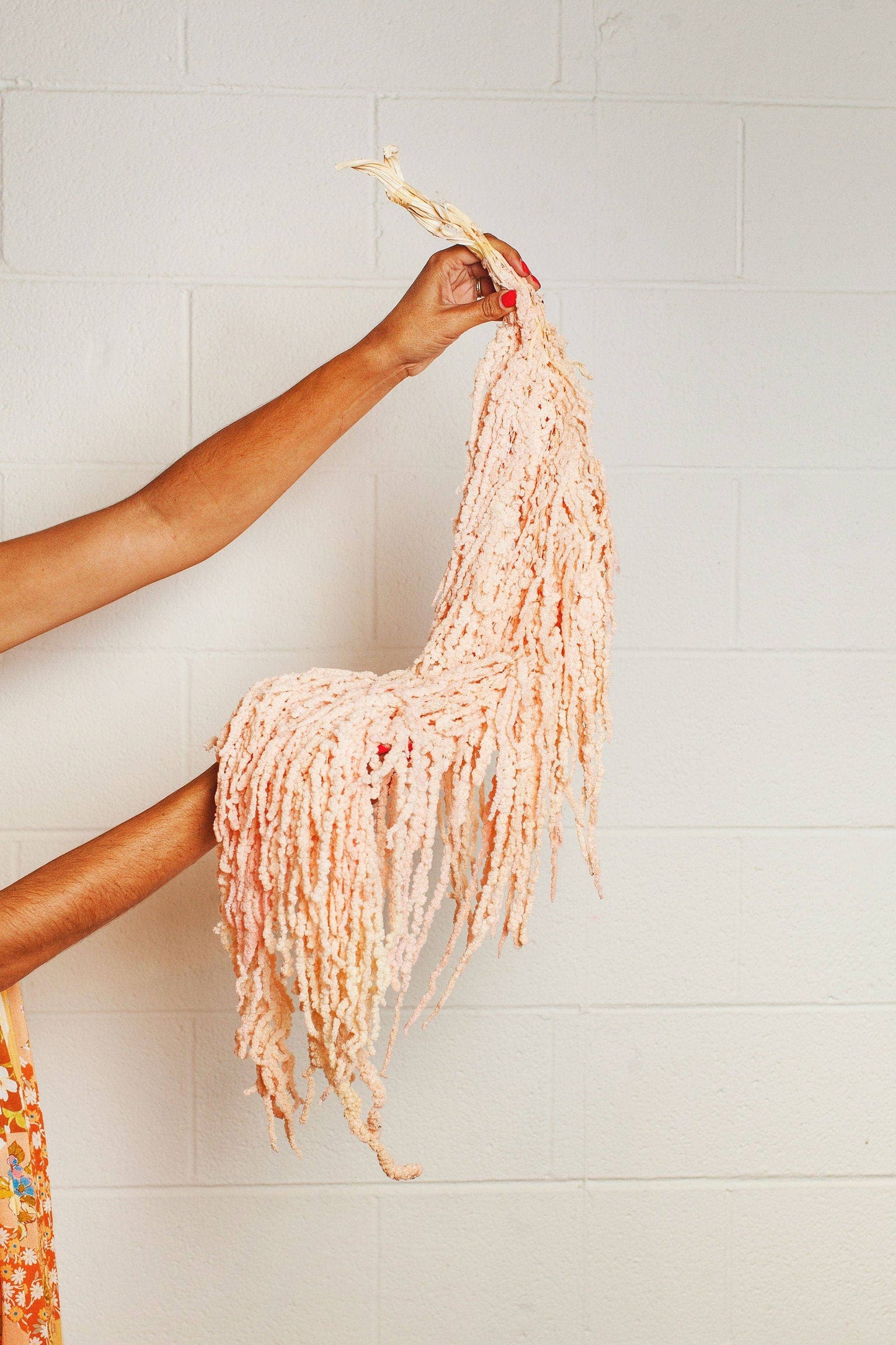 Blush Hanging Amaranthus