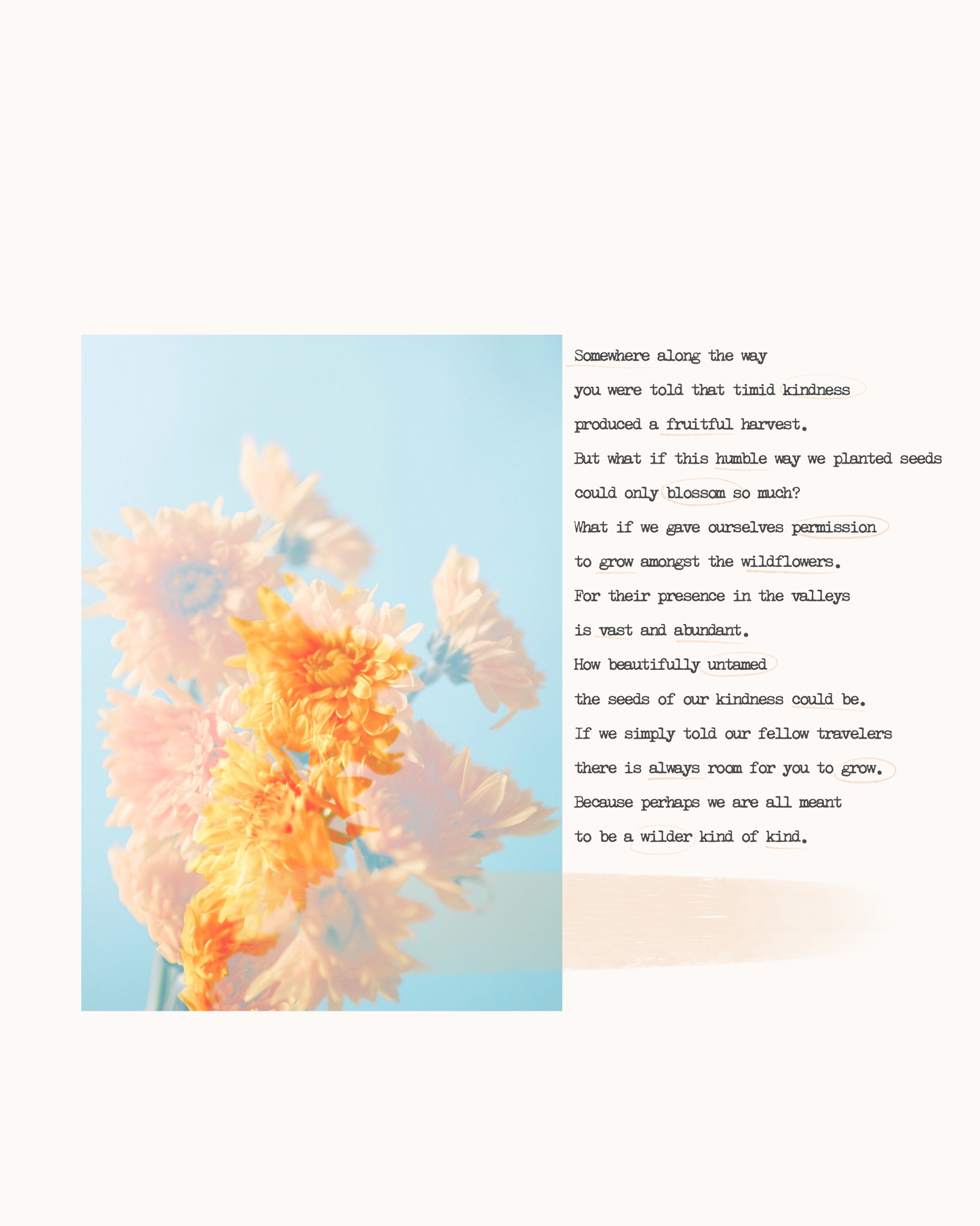 Orange Daisy Poem