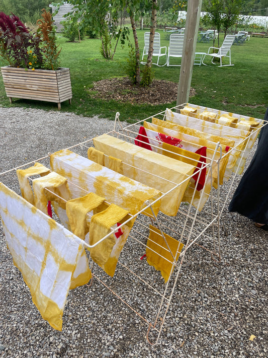 Marigold Natural Botanical Dye Kit | Craft Kit : 1 Bandana