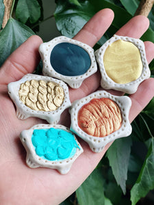 Turtlecolour Preorder