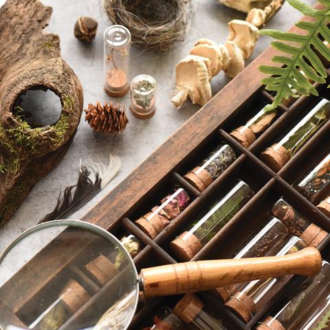 Natural Specimen Collecting Kit