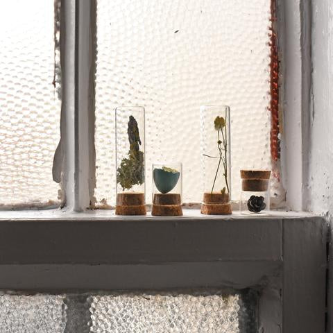 Natural Specimen Collecting Kit