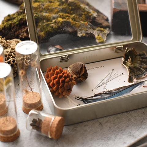 Natural Specimen Collecting Kit