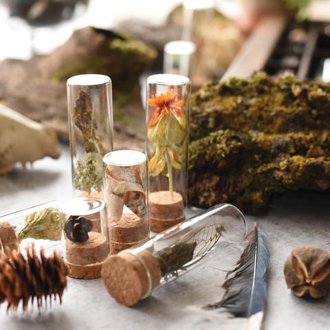 Natural Specimen Collecting Kit