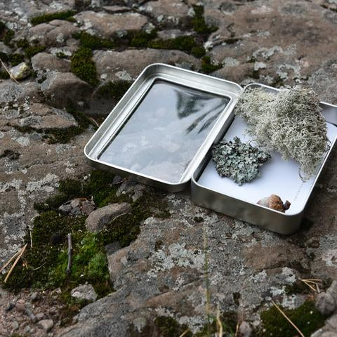 Natural Specimen Collecting Kit